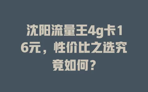 沈阳流量王4g卡16元，性价比之选究竟如何？