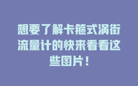 想要了解卡箍式涡街流量计的快来看看这些图片！