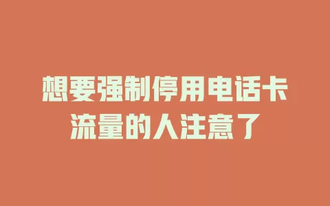 想要强制停用电话卡流量的人注意了