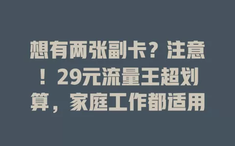 想有两张副卡？注意！29元流量王超划算，家庭工作都适用