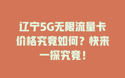 辽宁5G无限流量卡价格究竟如何？快来一探究竟！