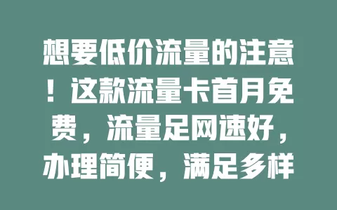 想要低价流量的注意！这款流量卡首月免费，流量足网速好，办理简便，满足多样需求