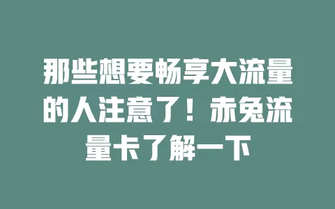 那些想要畅享大流量的人注意了！赤兔流量卡了解一下