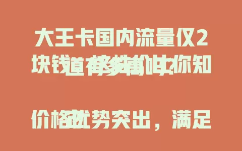大王卡国内流量仅2块钱，这性价比你知道有多高吗？

它价格优势突出，满足多样用网需求，日常刷短视频、聊天、查资料不愁流量。常外出的人用它旅途网络畅通，分享见闻、联系亲友、紧急查找信息全搞定，畅享经济便捷网络生活！