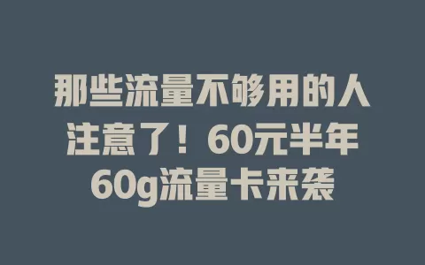 那些流量不够用的人注意了！60元半年60g流量卡来袭
