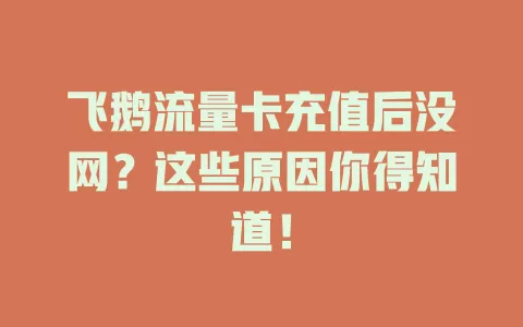 飞鹅流量卡充值后没网？这些原因你得知道！