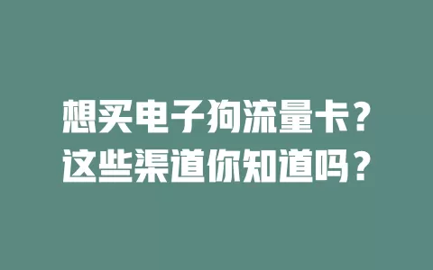 想买电子狗流量卡？这些渠道你知道吗？