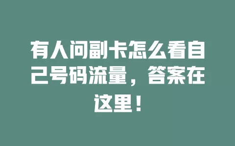 有人问副卡怎么看自己号码流量，答案在这里！