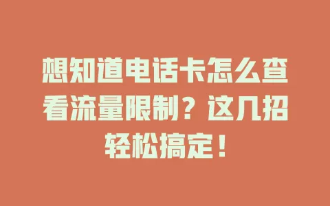 想知道电话卡怎么查看流量限制？这几招轻松搞定！