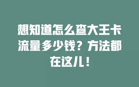 想知道怎么查大王卡流量多少钱？方法都在这儿！