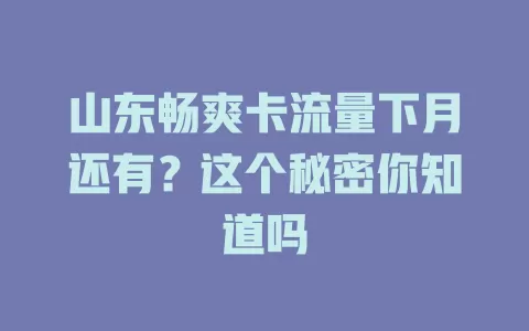 山东畅爽卡流量下月还有？这个秘密你知道吗