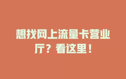 想找网上流量卡营业厅？看这里！