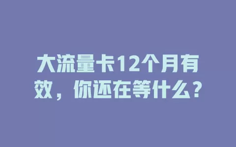 大流量卡12个月有效，你还在等什么？