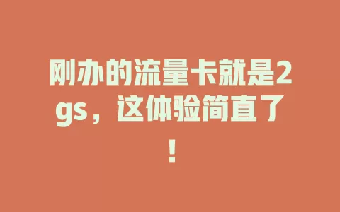 刚办的流量卡就是2gs，这体验简直了！