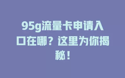 95g流量卡申请入口在哪？这里为你揭秘！