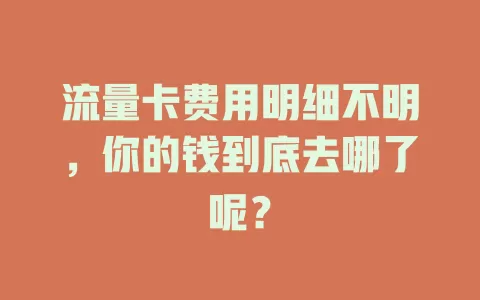 流量卡费用明细不明，你的钱到底去哪了呢？