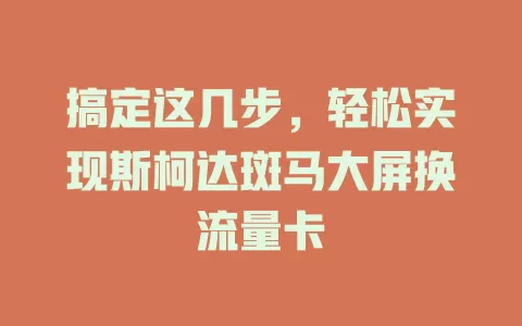搞定这几步，轻松实现斯柯达斑马大屏换流量卡