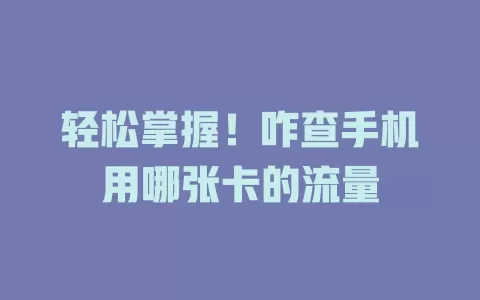 轻松掌握！咋查手机用哪张卡的流量