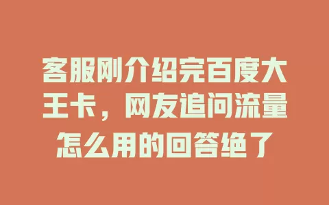 客服刚介绍完百度大王卡，网友追问流量怎么用的回答绝了