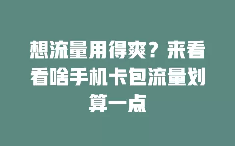 想流量用得爽？来看看啥手机卡包流量划算一点