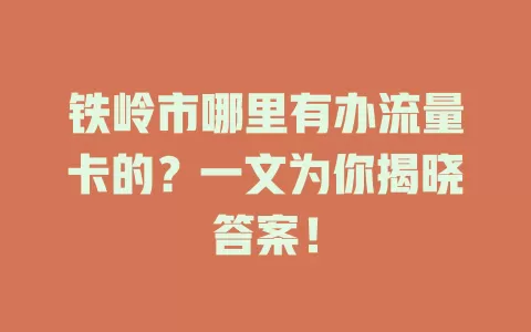 铁岭市哪里有办流量卡的？一文为你揭晓答案！