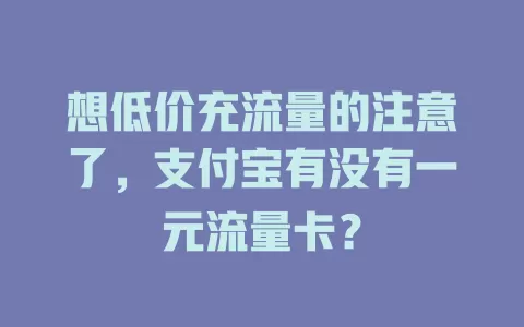 想低价充流量的注意了，支付宝有没有一元流量卡？