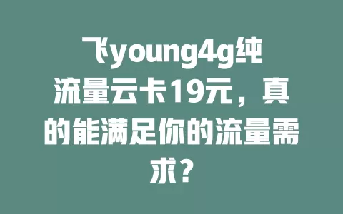飞young4g纯流量云卡19元，真的能满足你的流量需求？