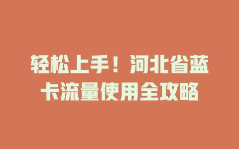轻松上手！河北省蓝卡流量使用全攻略