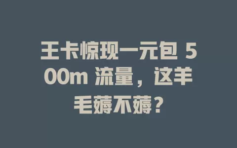 王卡惊现一元包 500m 流量，这羊毛薅不薅？