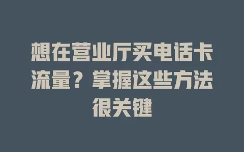 想在营业厅买电话卡流量？掌握这些方法很关键