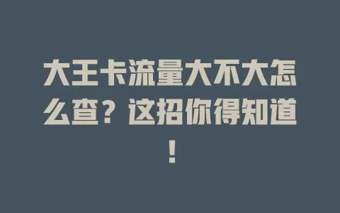 大王卡流量大不大怎么查？这招你得知道！