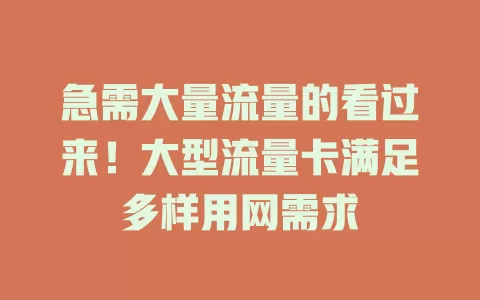 急需大量流量的看过来！大型流量卡满足多样用网需求