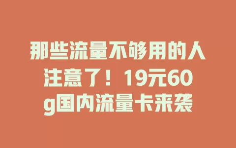 那些流量不够用的人注意了！19元60g国内流量卡来袭