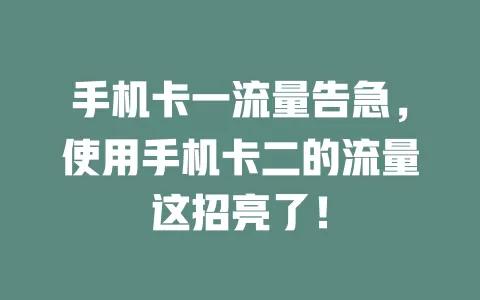 手机卡一流量告急，使用手机卡二的流量这招亮了！
