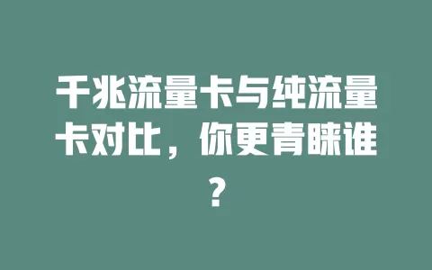 千兆流量卡与纯流量卡对比，你更青睐谁？