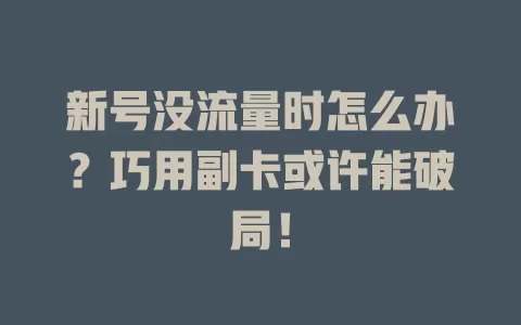 新号没流量时怎么办？巧用副卡或许能破局！