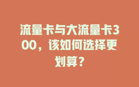 流量卡与大流量卡300，该如何选择更划算？