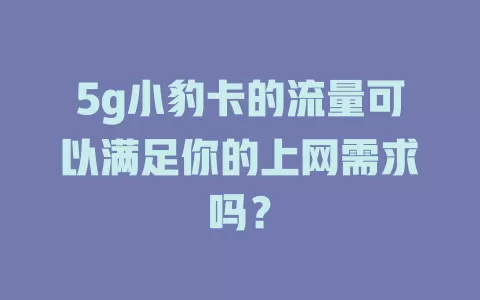 5g小豹卡的流量可以满足你的上网需求吗？
