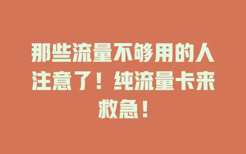 那些流量不够用的人注意了！纯流量卡来救急！