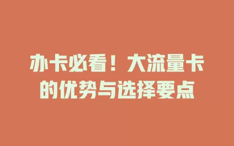 办卡必看！大流量卡的优势与选择要点
