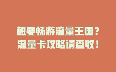 想要畅游流量王国？流量卡攻略请查收！