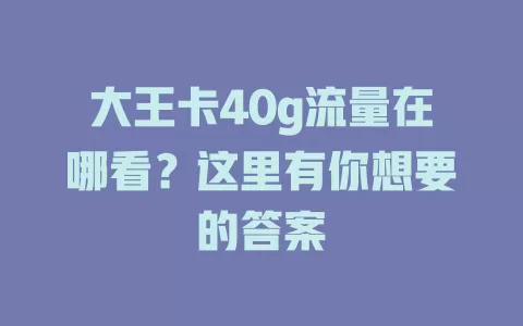 大王卡40g流量在哪看？这里有你想要的答案