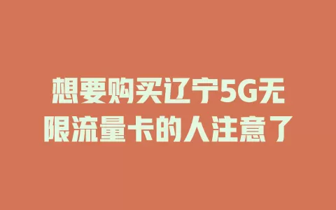 想要购买辽宁5G无限流量卡的人注意了