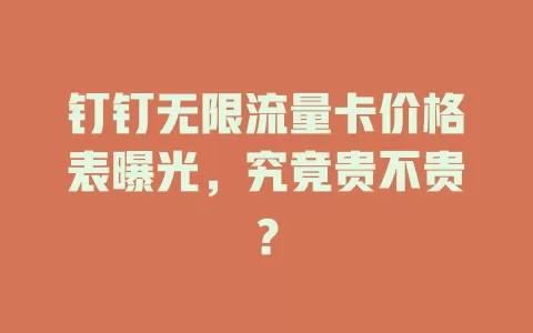 钉钉无限流量卡价格表曝光，究竟贵不贵？