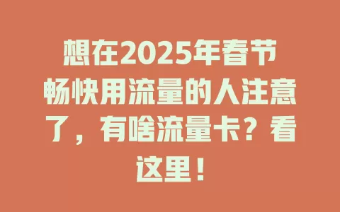 想在2025年春节畅快用流量的人注意了，有啥流量卡？看这里！