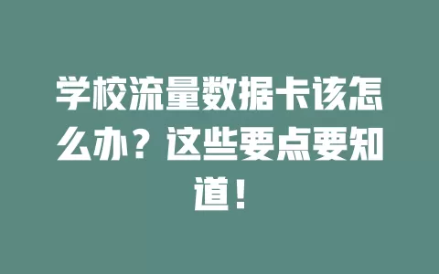 学校流量数据卡该怎么办？这些要点要知道！
