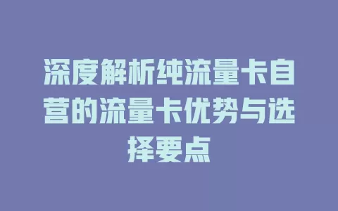深度解析纯流量卡自营的流量卡优势与选择要点