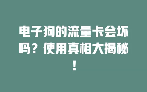 电子狗的流量卡会坏吗？使用真相大揭秘！