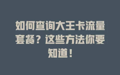 如何查询大王卡流量套餐？这些方法你要知道！