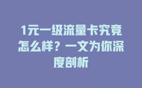 1元一级流量卡究竟怎么样？一文为你深度剖析